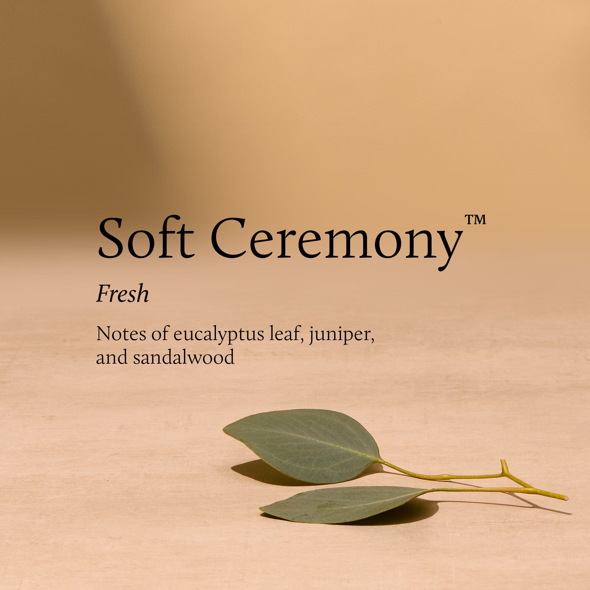 Soft Ceremony Petite Reed Diffuser - Image 3